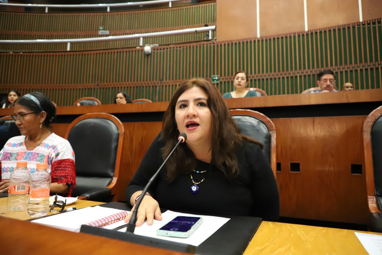 Diputada Local Diana Bernabé Vaga