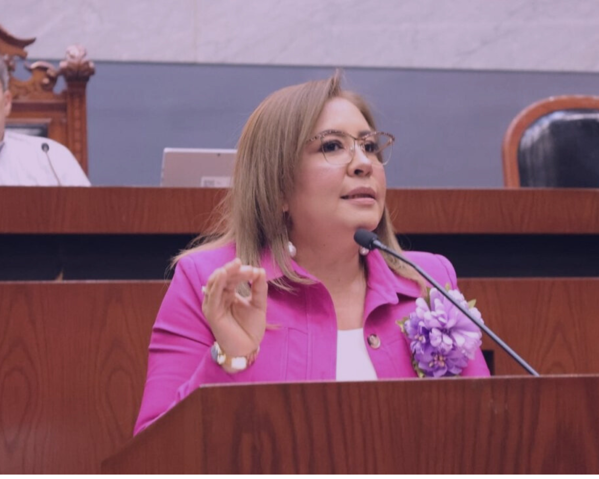 Aprueben tipificar violencia por asecho