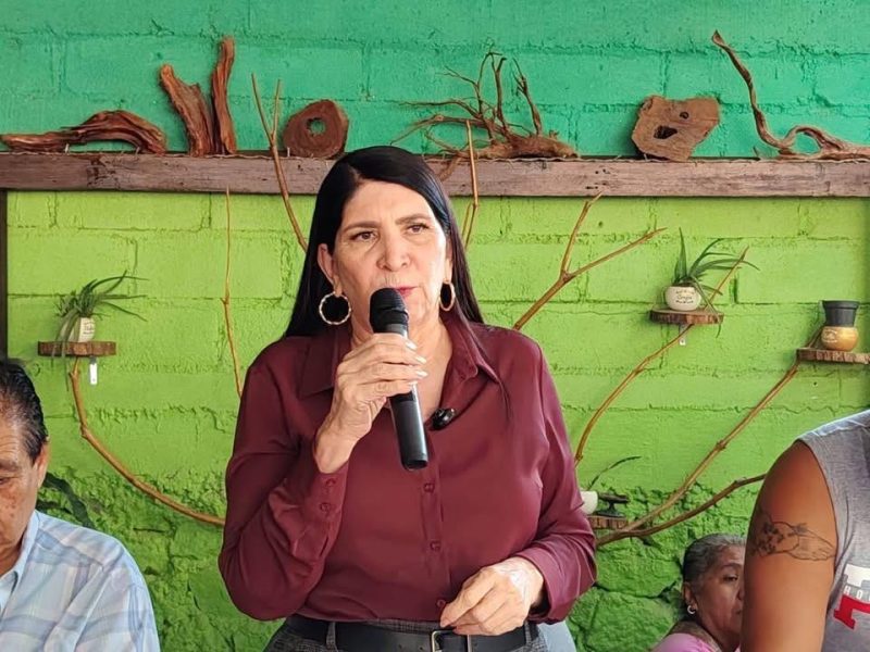 Guadalupe Eguiluz Bautista